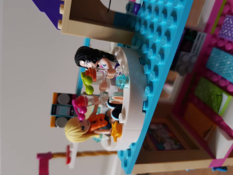 Lego Friends