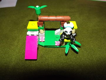 Panda bambusza