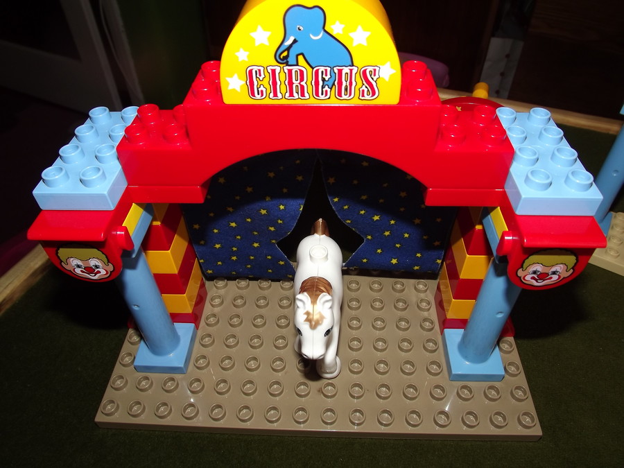 5593 cirkusz