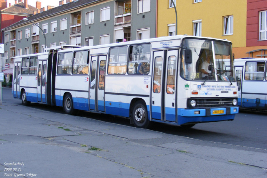Busz: kezdetek