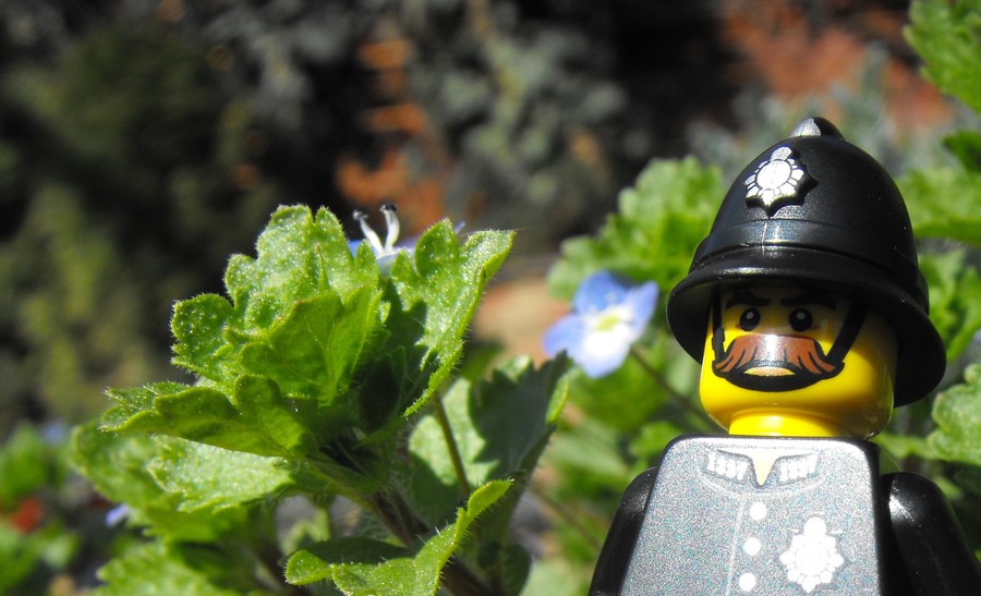 Minifigures: Angol rendőr