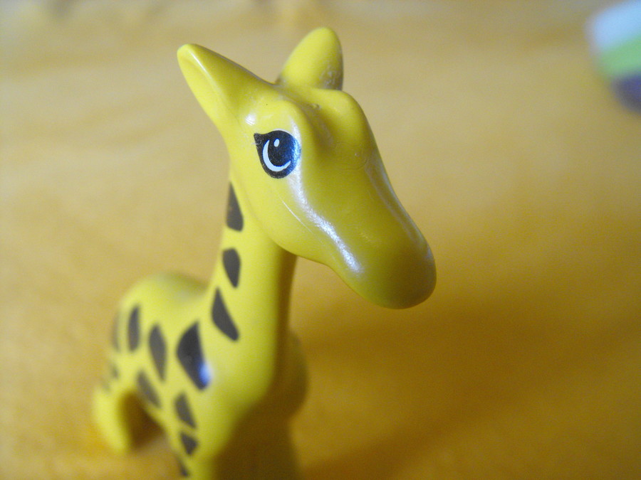 Duplo: a kakukktojás