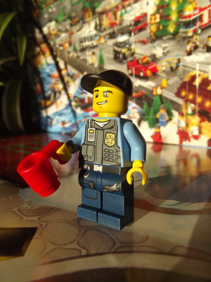 City Advent Calendar