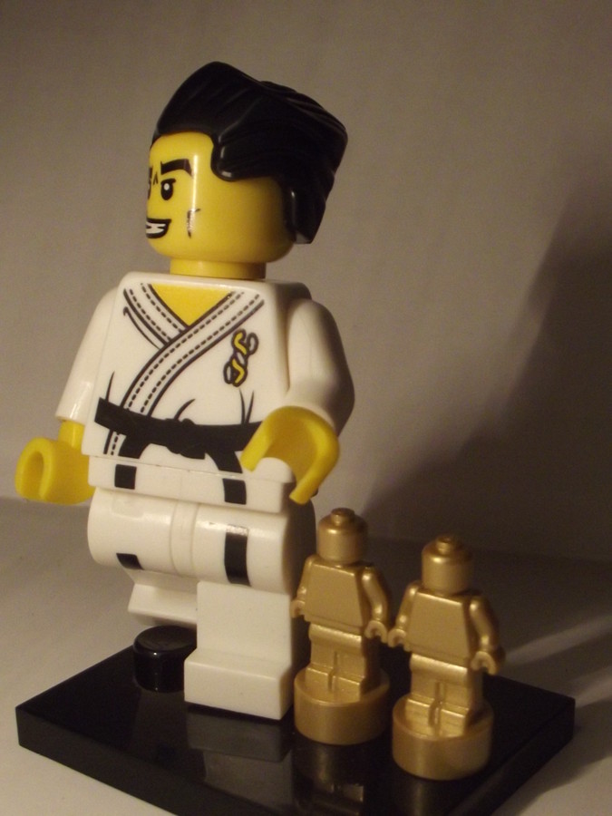 Karate mester