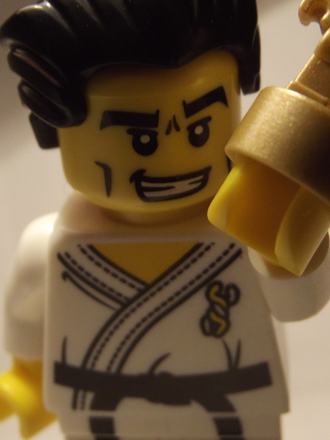Karate mester