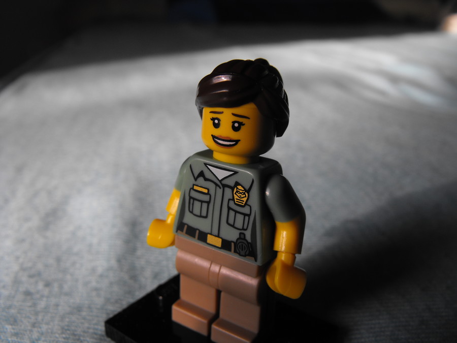 Állatbefogó minifigura