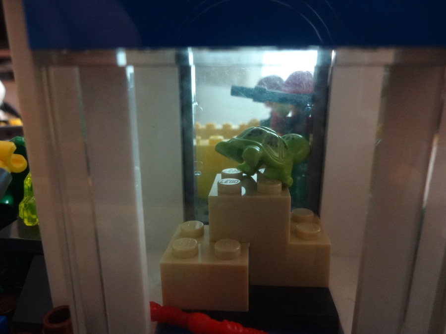 Mini szabadtéri vízi állatkert