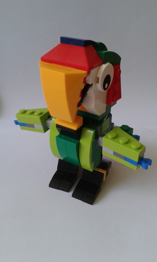 31031