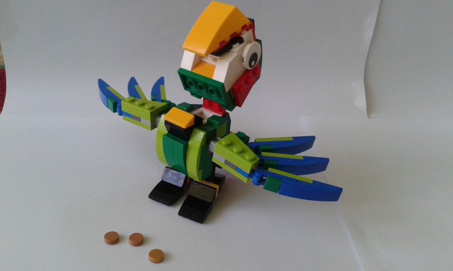31031