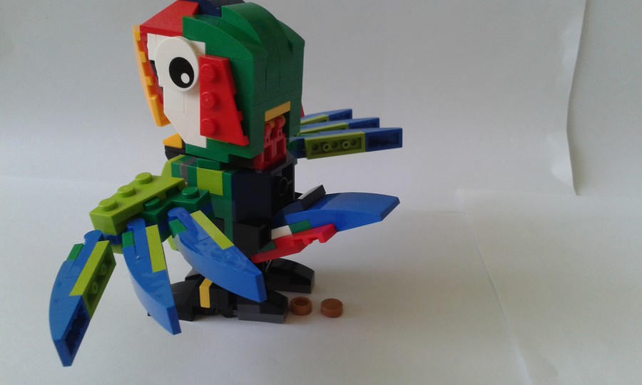 31031