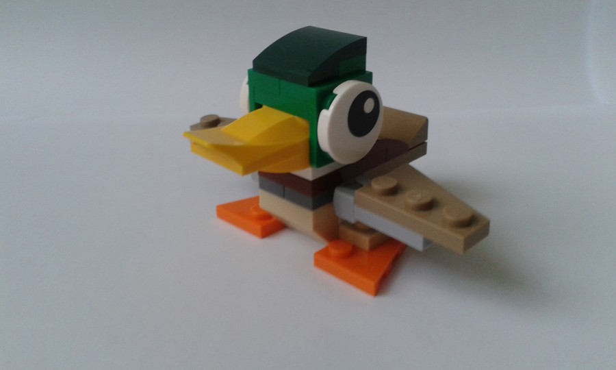 31044