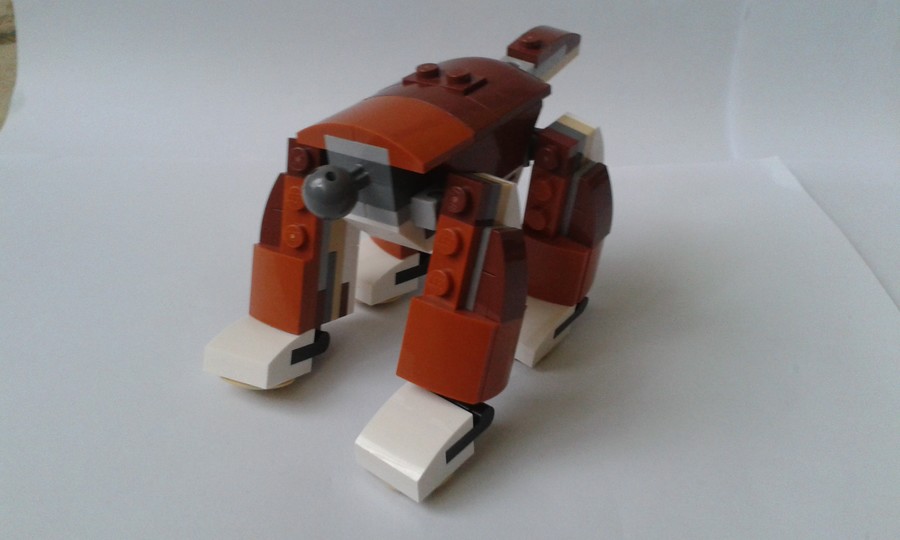 31044