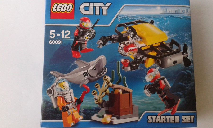 60091