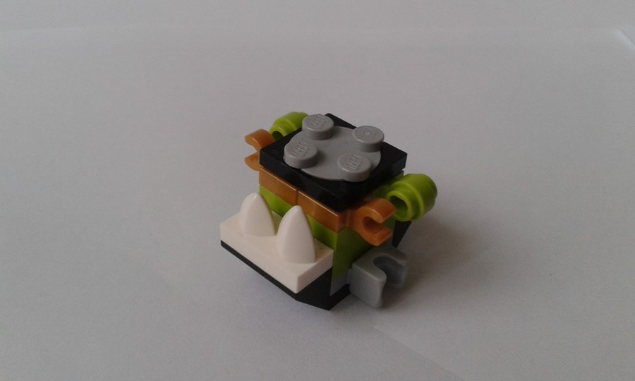 41529