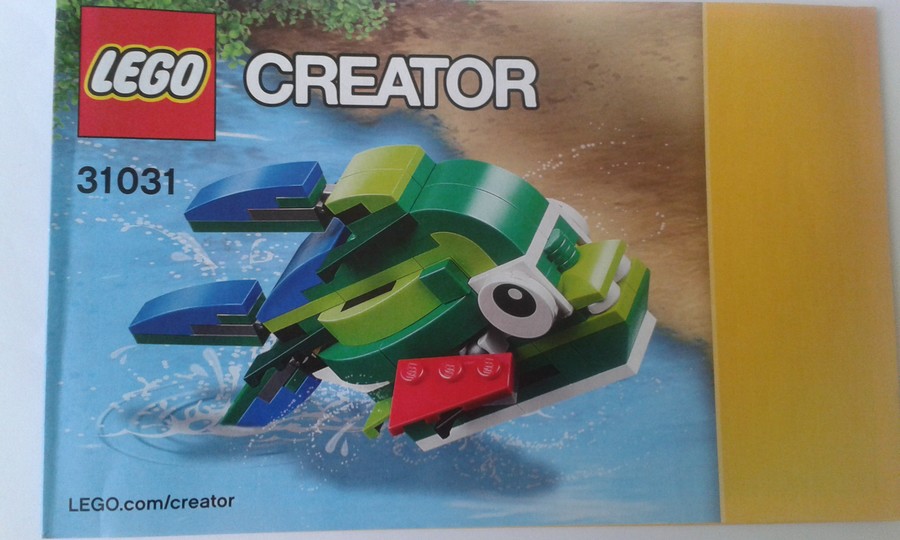 31031