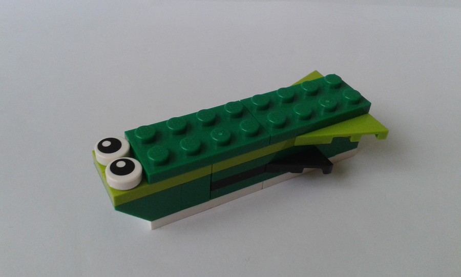 31031
