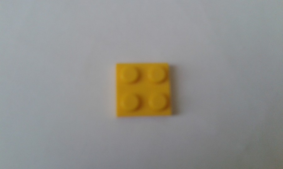 41544