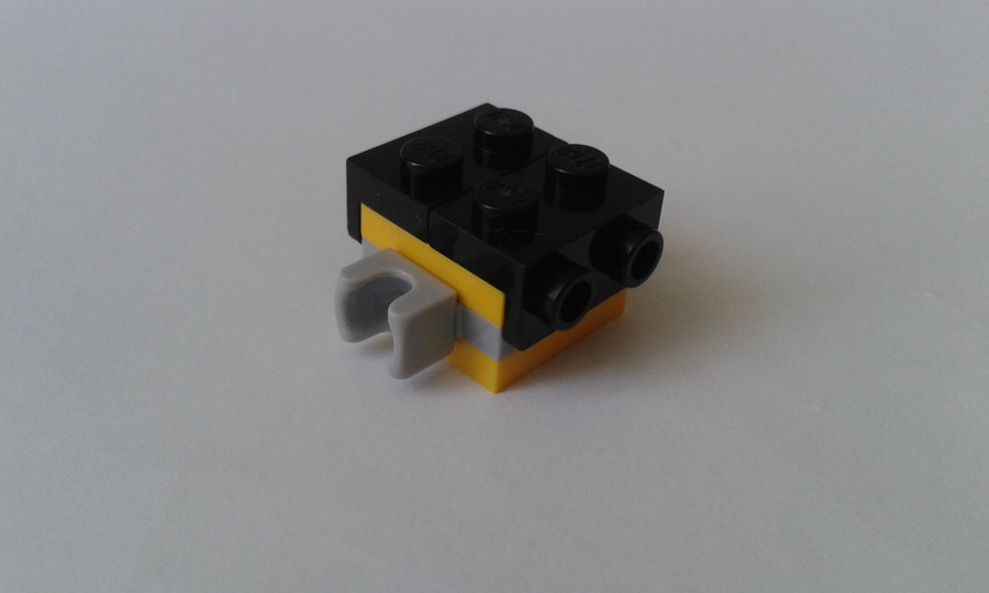 41544