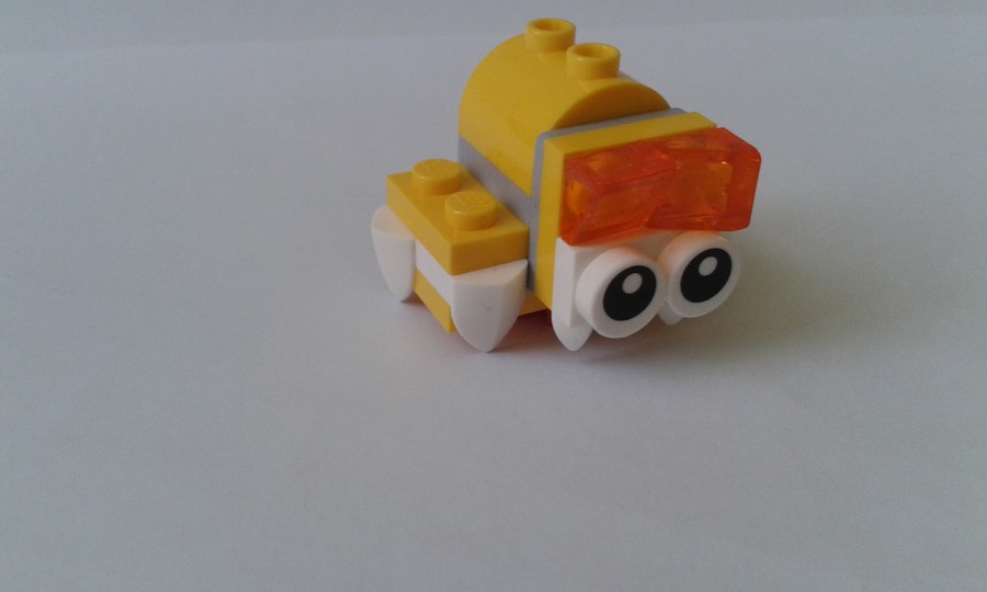 41544