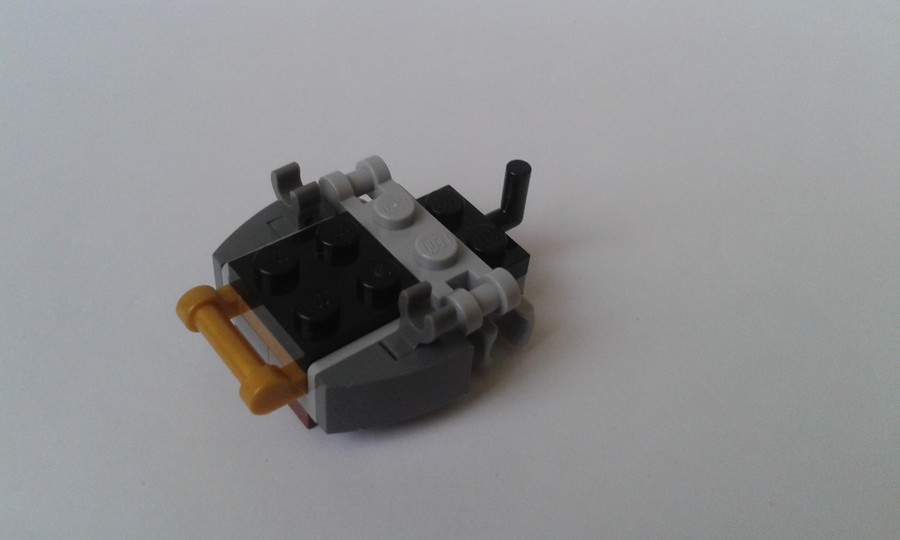 41559