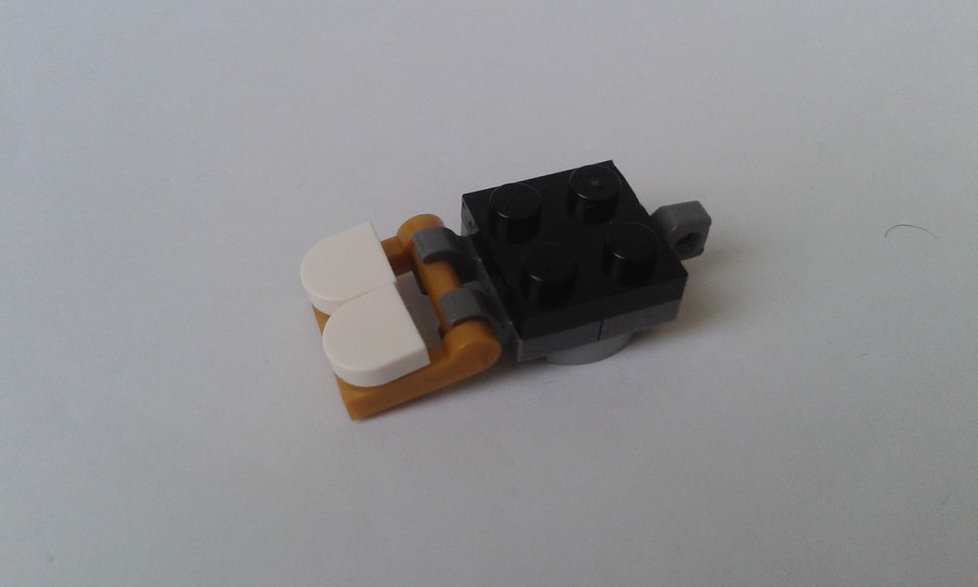 41559