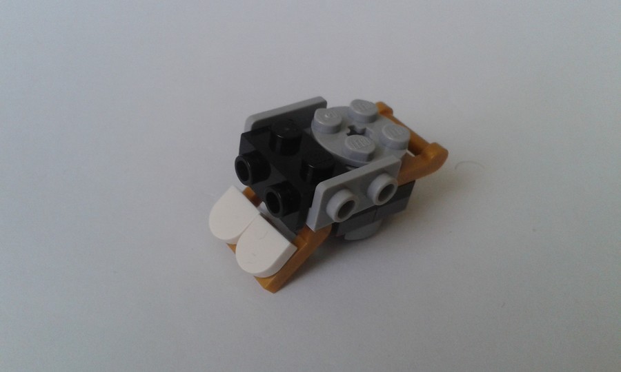 41559