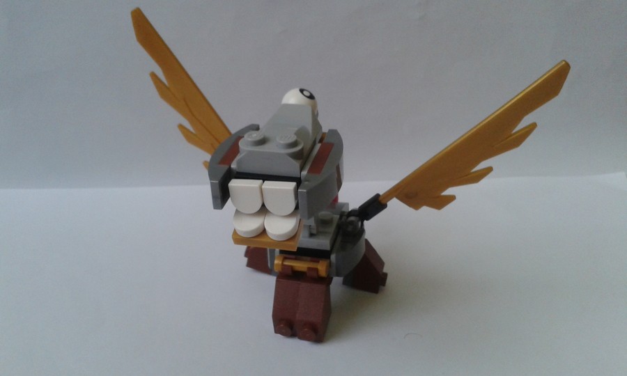 41559