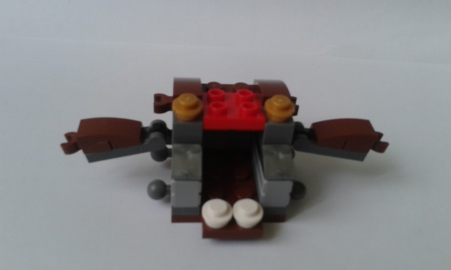 41558