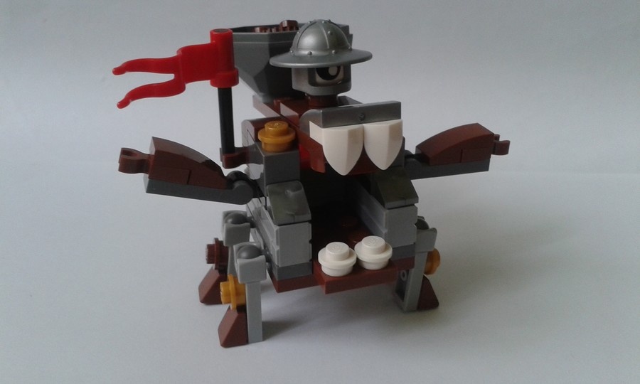 41558